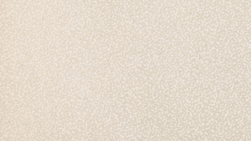 Tilla  Shale W397-02